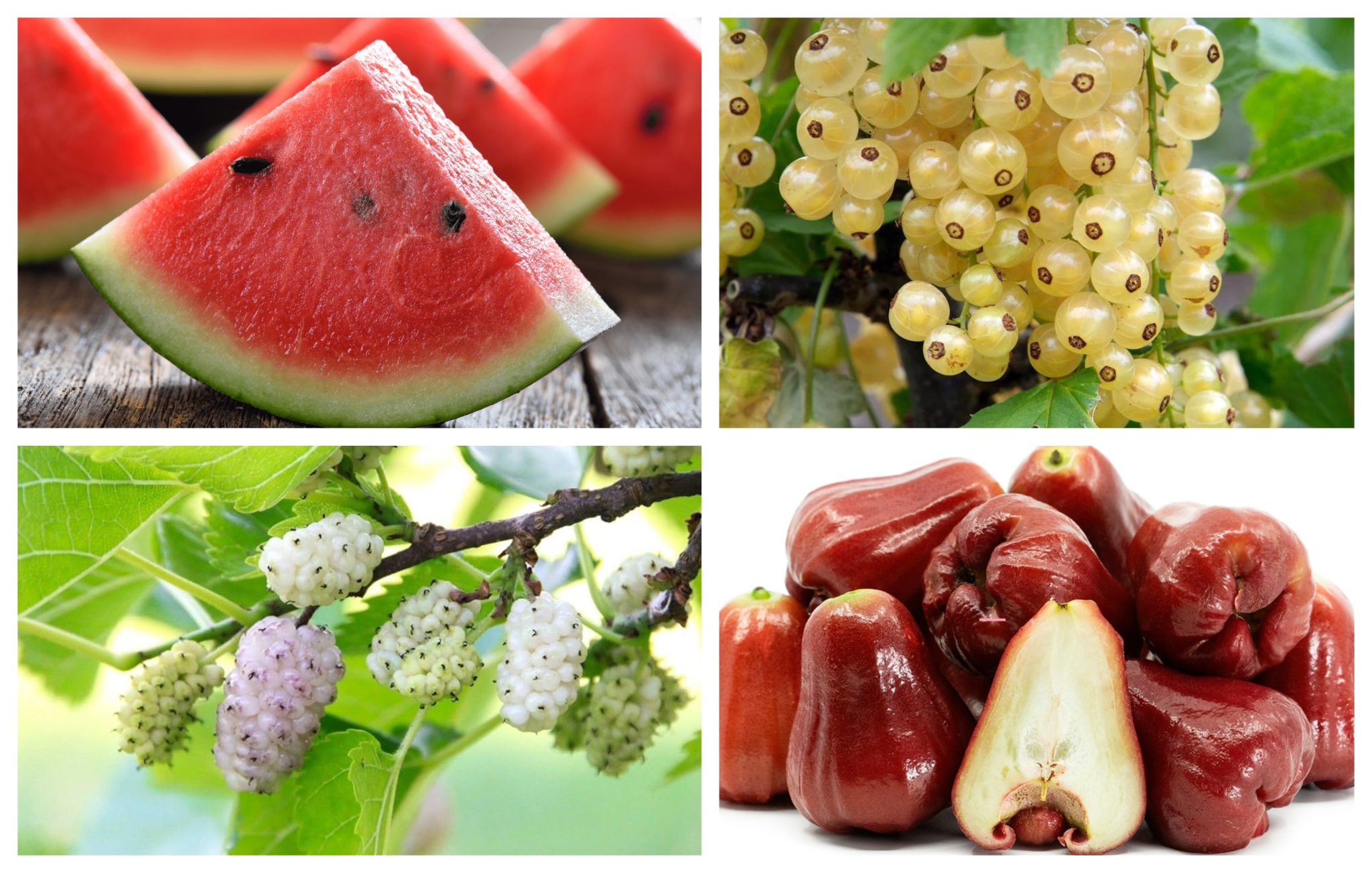 Watermelon & More: Health Benefits of W Fruits